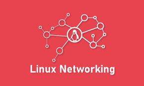 Linux Networking